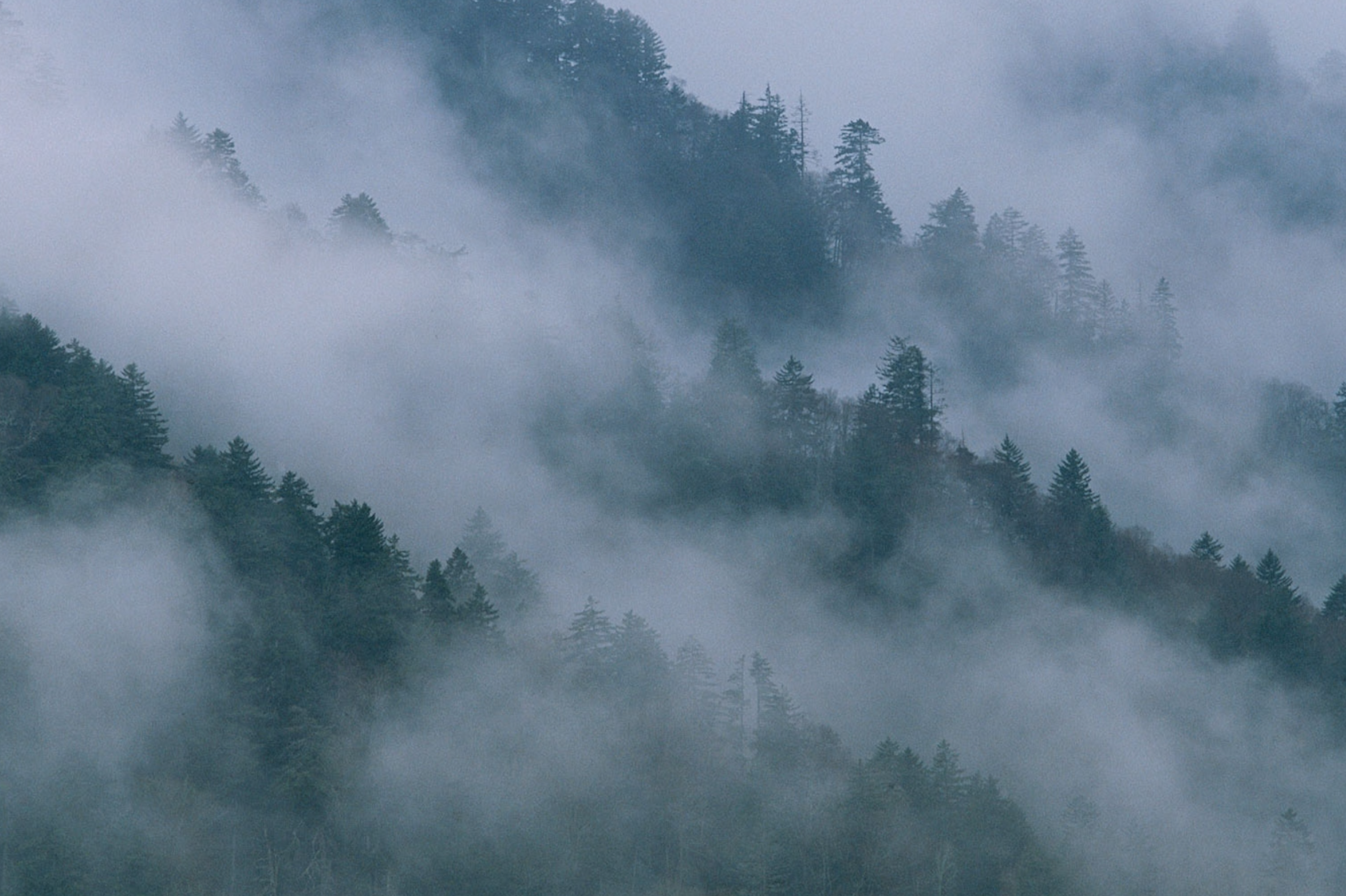 Au coeur des Appalaches