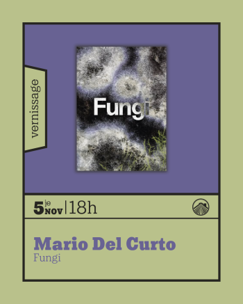 Vernissage Fungi slide 1